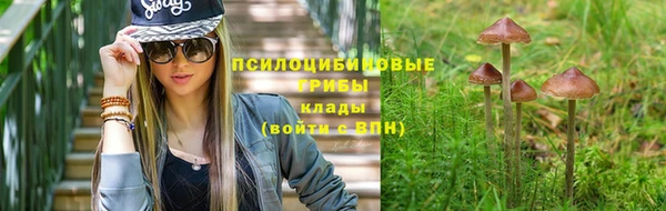 a pvp Заволжье